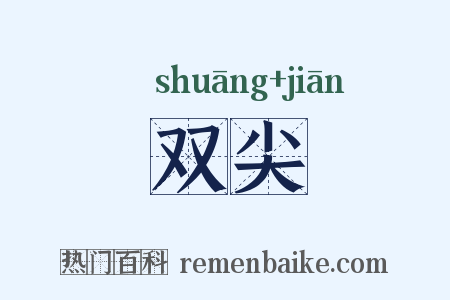 双尖是什么意思的图片